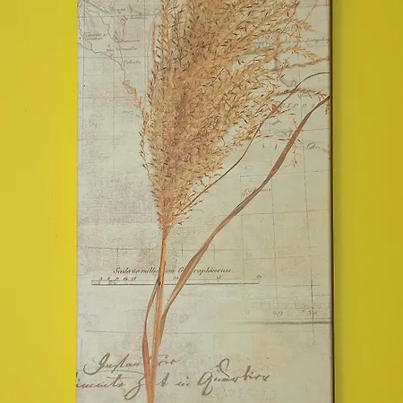 Tiszafa Vendeghaz 4*